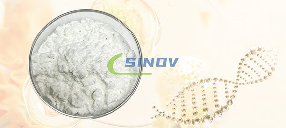 Marine Collagen powder Marine Collagen powder